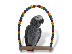 Vogelschommel met gekleurde houten kralen.