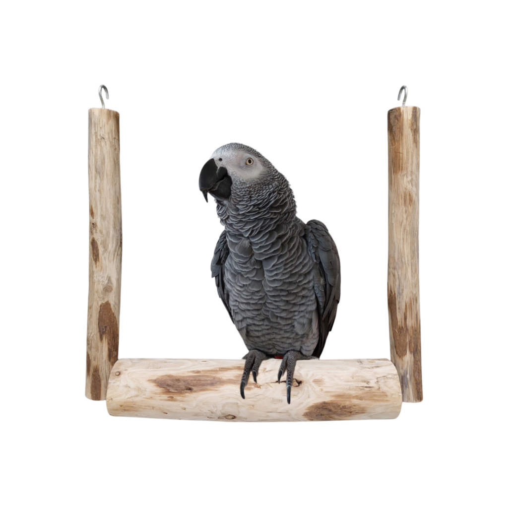 Tarzan Large Hout #1 schaduw transparant